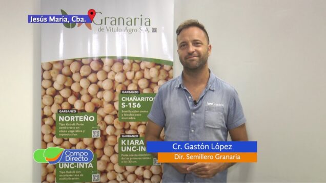Campo Directo | Garbanzo 2021 Elección de una buena semilla