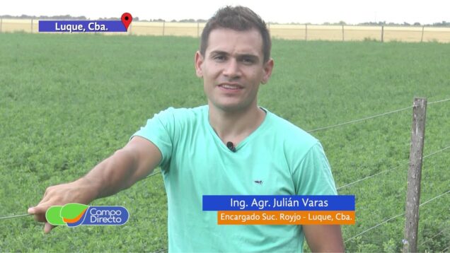 Campo Directo | Productores de Luque y su experiencia con Royjo