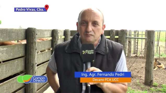 Campo Directo | UCC: Comenzó la nueva edición de la Prueba a campo Hereford