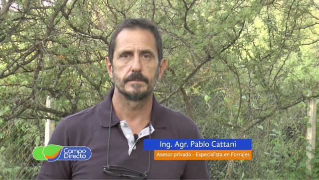 Campo Directo | Buena conservación de grano húmedo