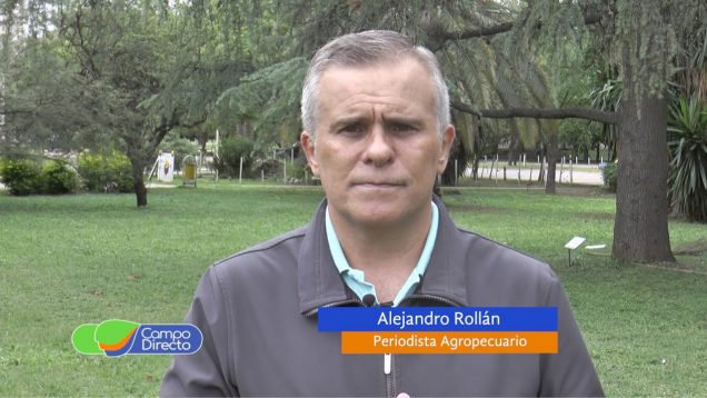 Campo Directo | Falta de insumos en la Maquinaria Agrícola