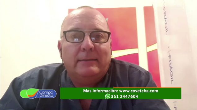 Campo Directo | Médicos Veterinarios preparados para la vacuna