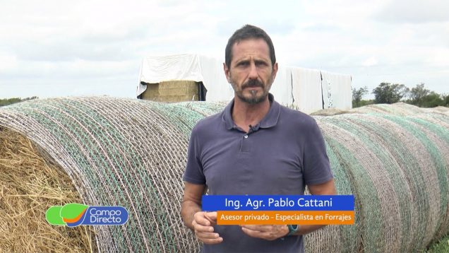 Campo Directo | Ventajas de atar rollos con red