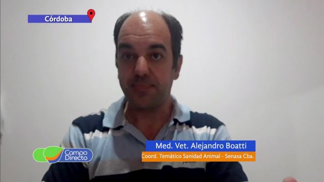 Campo Directo | Control y Erradicación de Brucelosis Bovina