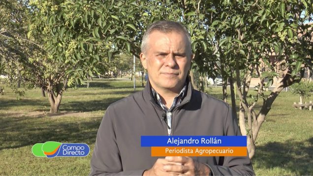 Campo Directo | Córdoba más complicada por Ley de Biocombustibles
