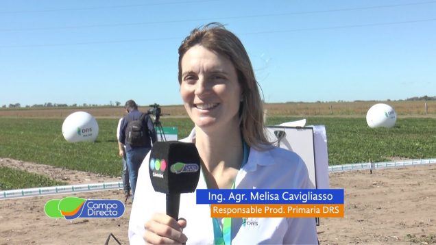 Campo Directo | Jornada a Campo Demostrativa “Genética de Maní”