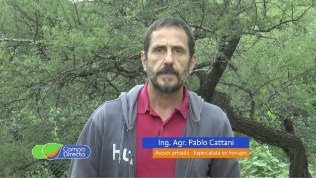 Campo Directo | Siembra de Alfalfa