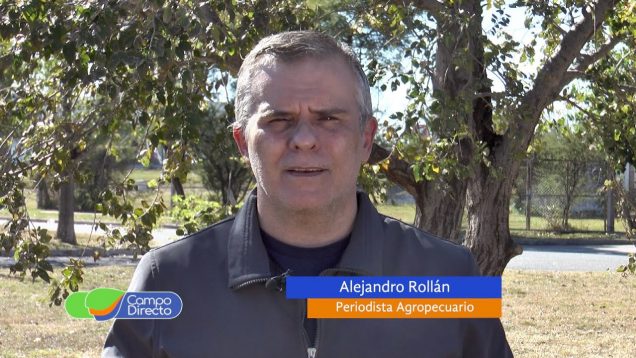 Campo Directo | Cómo impacta la intervención al mercado de carnes