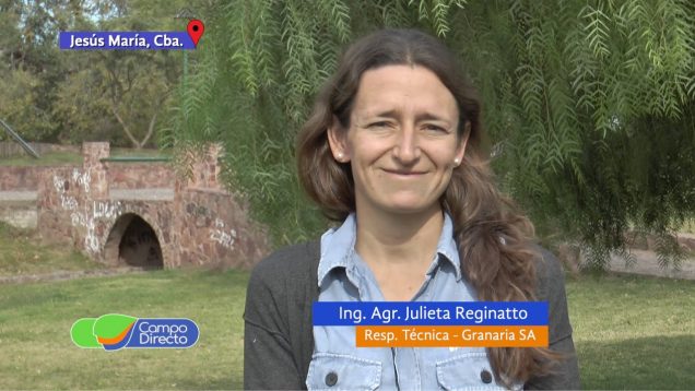 Campo Directo | La importancia de sembrar garbanzo fiscalizado