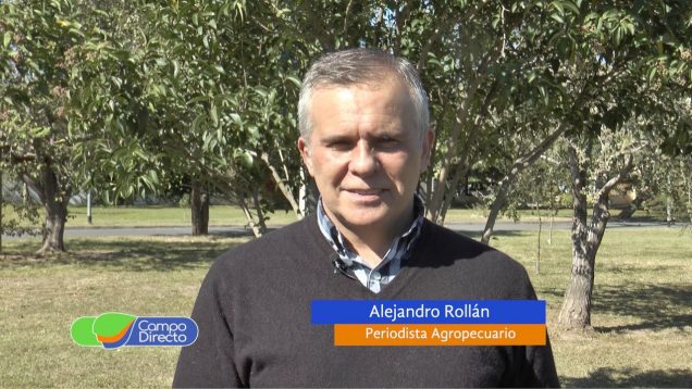 Campo Directo | La maquinaria agrícola favorecida por el precio de los granos