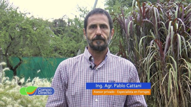 Campo Directo | Siembra de Alfalfa (2da. Parte)