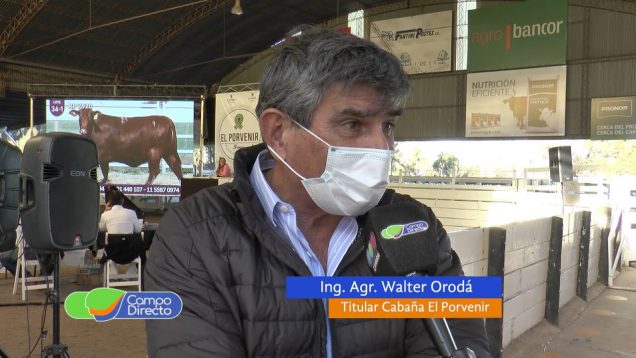 Campo Directo | Genética de Excelencia de Cabaña El Porvenir