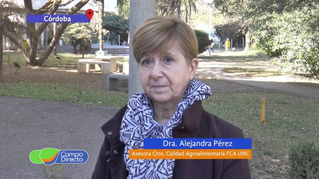 Campo Directo | El maní en la FCA UNC, presentaron datos de cinco años (2da. Parte)