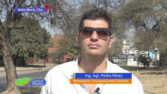 Campo Directo | Excelente calidad en el Remate Anual de El Porvenir