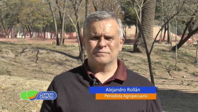 Campo Directo | Frigoríficos | A la espera de una flexibilización del cepo