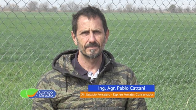 Campo Directo | Opciones a analizar al momento de incorporar forrajes fibrosos en las dietas