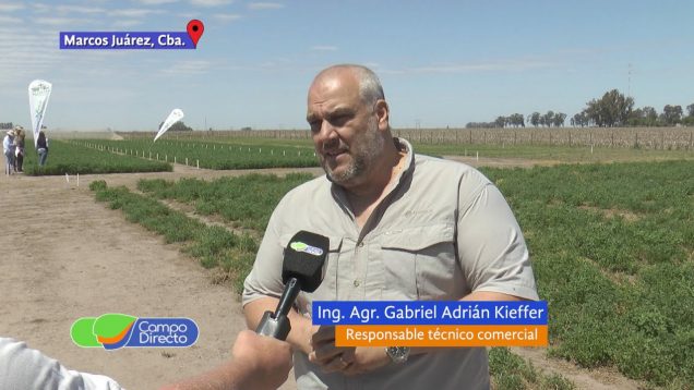 Campo Directo | Jornada de Actualización sobre Alfalfas