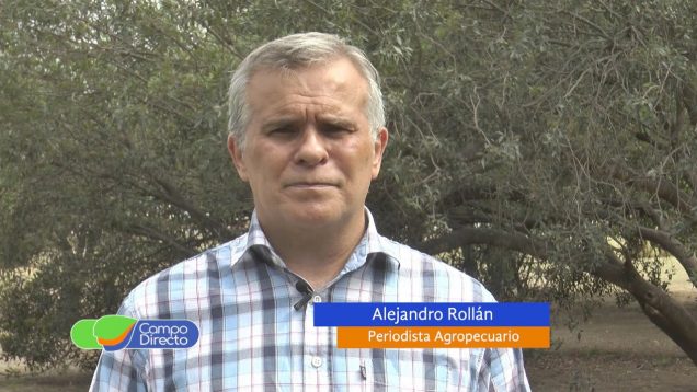 Campo Directo | Los granos pierden poder de compra