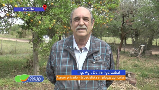 Campo Directo | Alerta de plagas agrícolas en noviembre