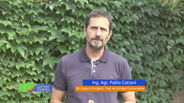 Campo Directo | Digestibilidad de fibra en silos de maíz