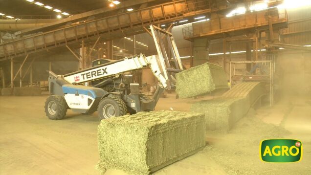 Campo Directo | El Clima del Agro con Mario Navarro – 21 al 28 de noviembre