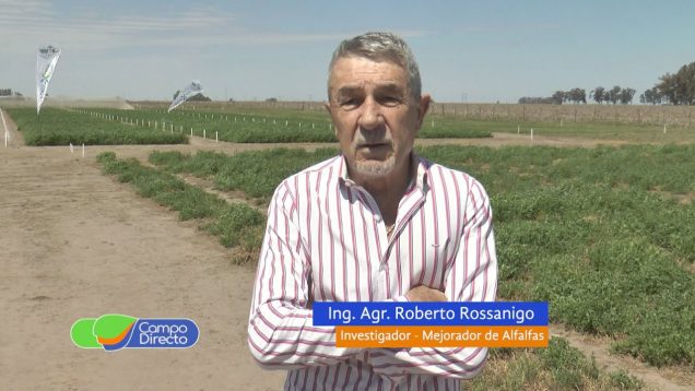 Campo Directo | Jornada de Actualización sobre Alfalfas (2da. Parte)