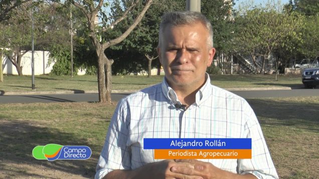 Campo Directo | Mal momento de las exportaciones de carne de cerdo