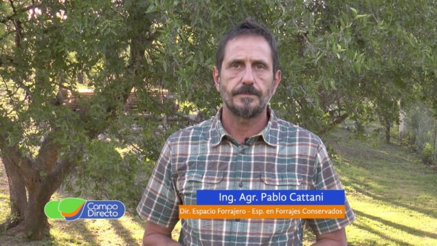 Campo Directo | Alternativas y sus ventajas a la hora de procesar fibra de heno