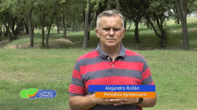 Campo Directo | El Gobierno nacional quiere “exportaciones administradas”