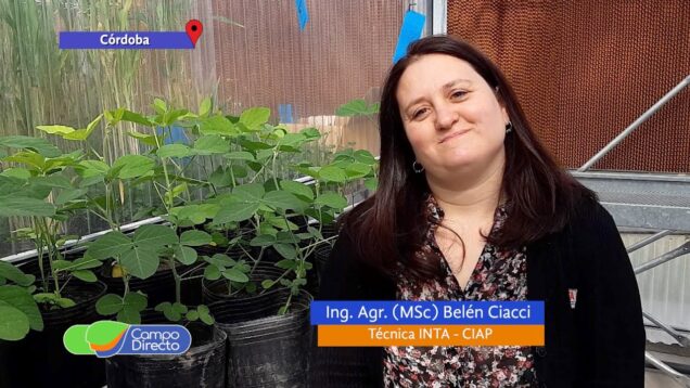 Campo Directo | Nanotecnología como herramienta de fertilización