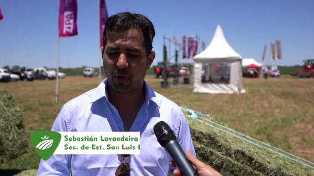 Campo Directo | Más de 250 productores en la Expo Alfalfa de San Luis