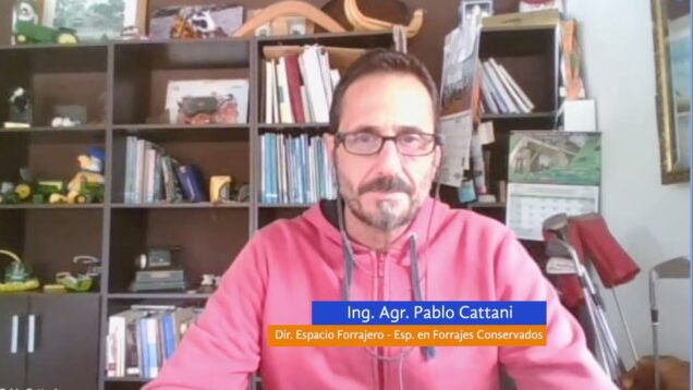 Camo Directo | Analizamos el avance de la presente campaña de picado