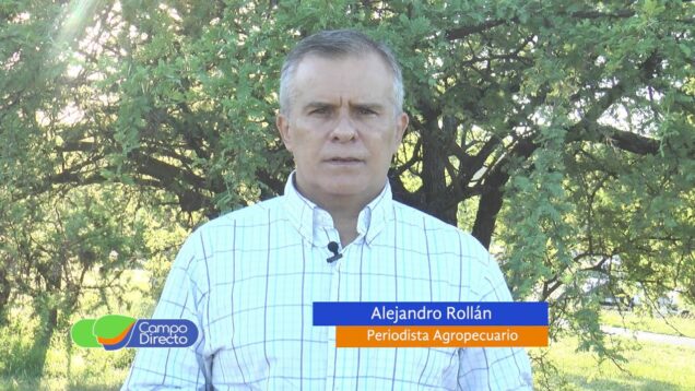 Campo Directo – Buenos precios para el trigo