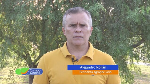 Campo Directo | Carnes | El año arrancó con menor faena