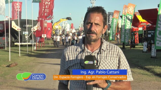 Campo Directo | Estrategia para esta campaña en la confección de silaje de sorgo