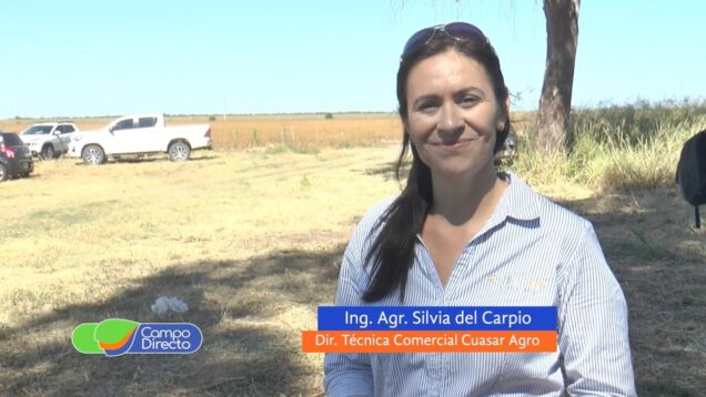 Campo Directo | 1era Jornada Punto Cuasar : NK Segunda Parte