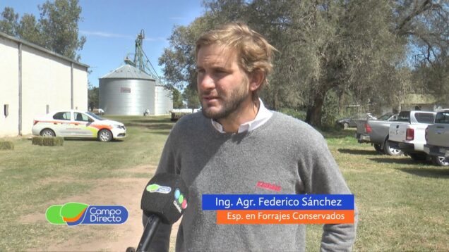 Campo Directo | Condiciones de la campaña de picado