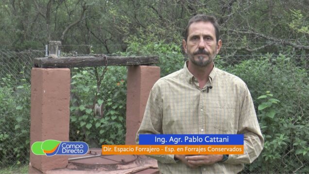 Campo Directo | Expoagro 2022 | Tendencias y novedades en forrajes