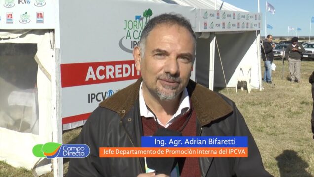 Campo Directo | El consumo de carne en números