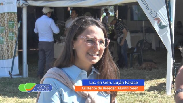 Campo Directo | El maíz pisingallo pisa fuerte en el norte cordobés