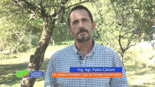 Campo Directo | Siembra de alfalfa en un escenario poco convencional