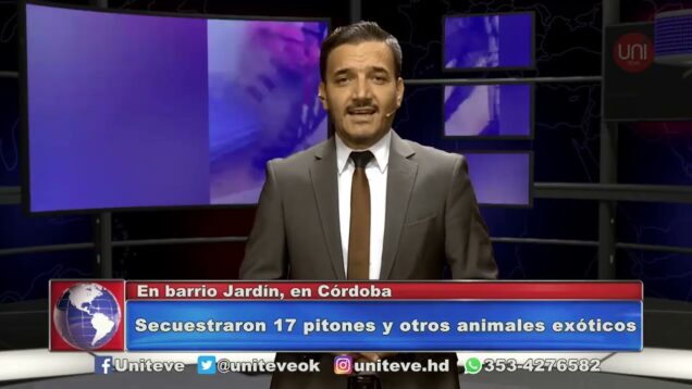 UNITEVE | Columna de actualidad – Lula Díaz