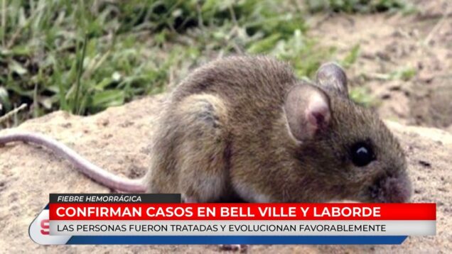 C20 Noticias | Fiebre Hemorrágica – José María Ruiz