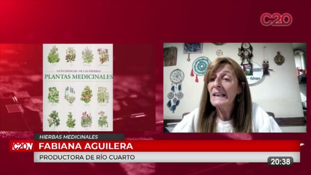 C20 Noticias | Hiervas Medicinales – Fabiana Aguilera