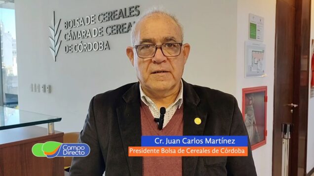 Campo Directo | Cómo se viene la campaña de trigo 2022/23