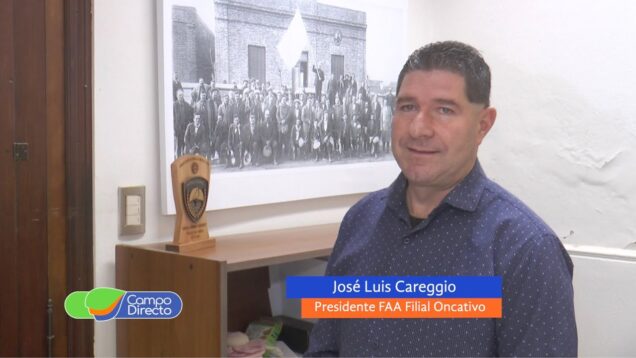 Campo Directo | Diplomatura en diseño