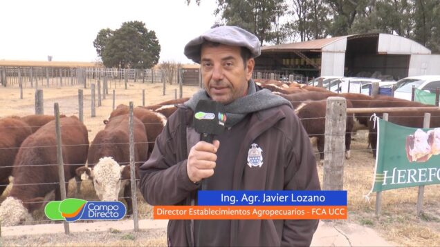 Campo Directo | 2da. Jura Fenotípica Hereford en Santa Julia – UCC