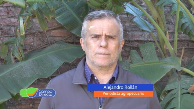 Campo Directo | El poder de compra de los granos fue el junio el mayor en cuatro años