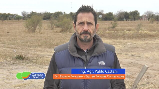 Campo Directo | Estrategias de uso de verdeos de invierno