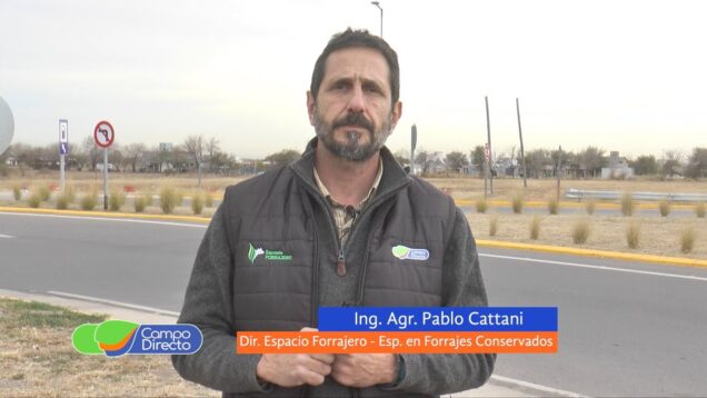 Campo Directo | Grado de compactación de los silajes